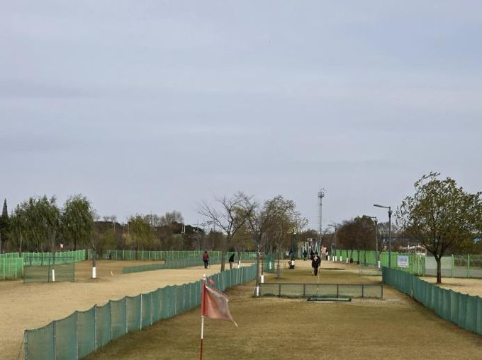 파크골프장 전경