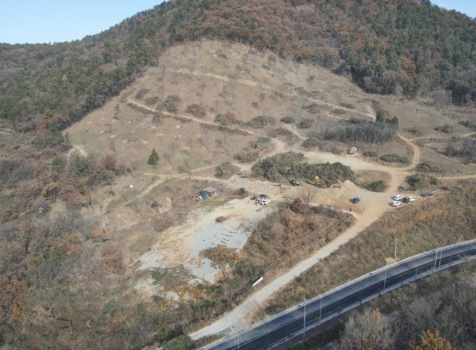 산림재해 예방과 경제림 육성을 위한 조림사업 본격 추진