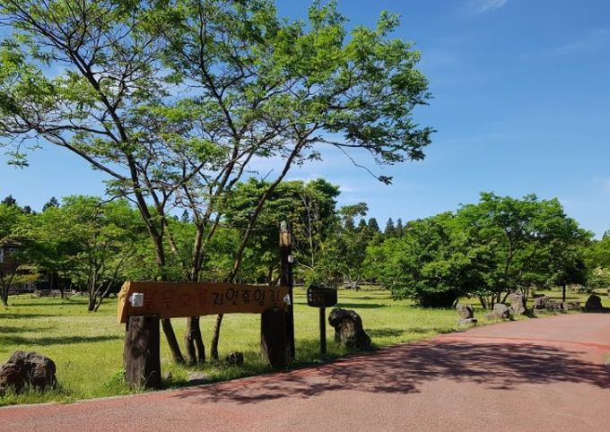 붉은오름자연휴양림