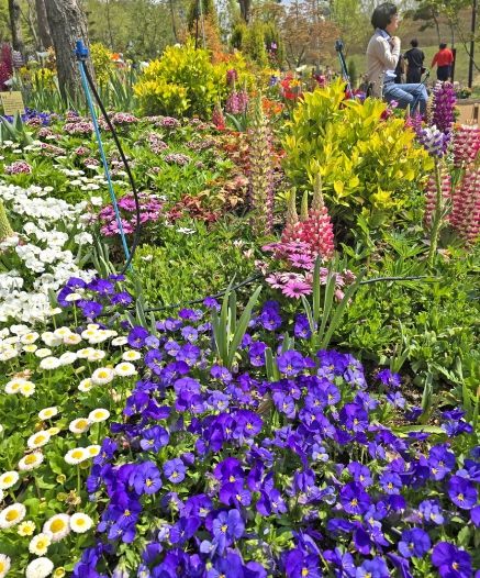 봄철 나들이는 옥정호 출렁다리‧붕어섬으로…2월 28일 재개장