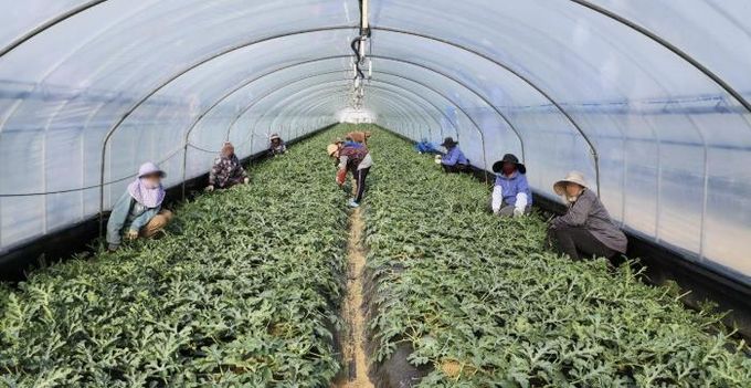 청주시, 2026년 상반기 외국인 계절근로자 421명 도입