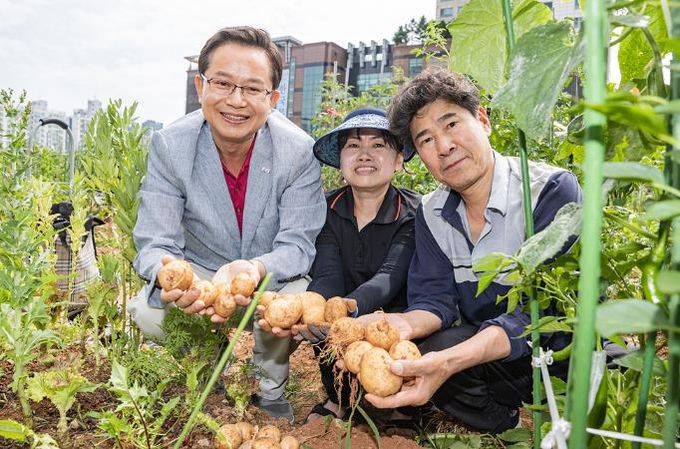 2024년 도시텃밭 활동 사진