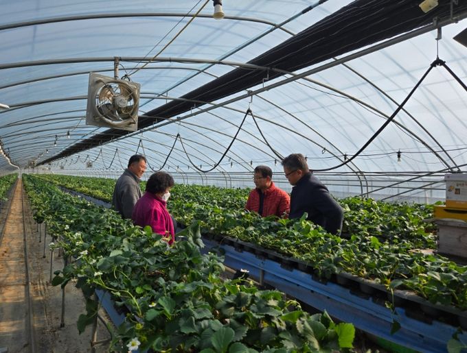 경북 Berry-Good Project 연계, 5회 현장 교육