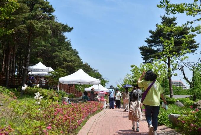 속초시립박물관, 2026년 노리숲길 숲속마켓 셀러 모집