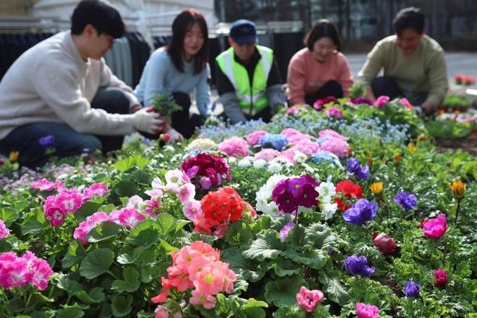 성동구 왕십리광장에서 공원녹지과 직원들이 봄을 맞아 꽃 식재 작업을 하고있는 모습