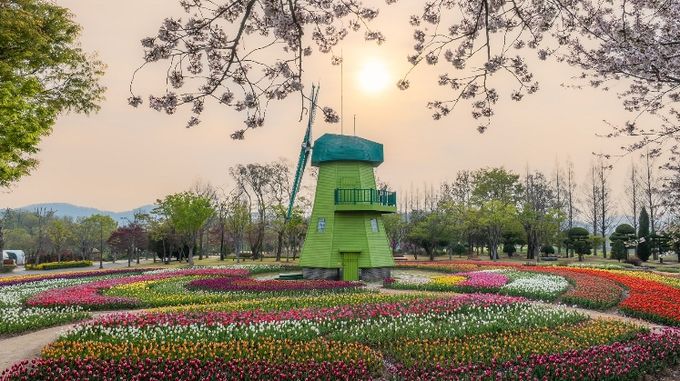 노을 지는 풍경의 네덜란드 정원(2025년)