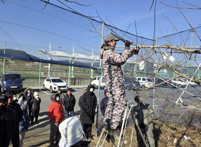 충주시농기센터, 복숭아 정지전정 현장교육 성료