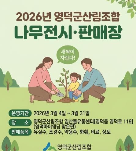 나무시장 팜플렛 사진