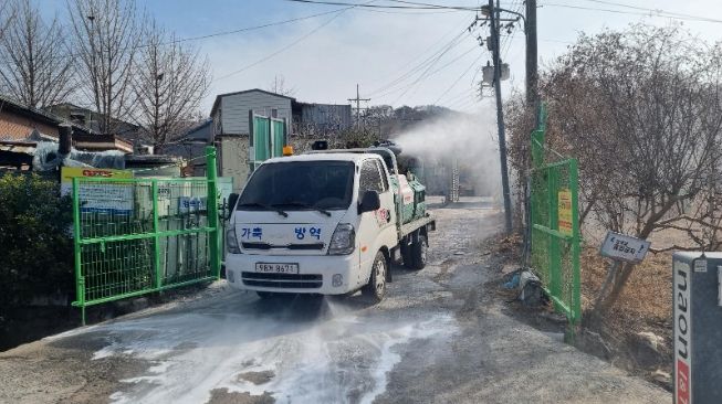 양돈농가특별방역