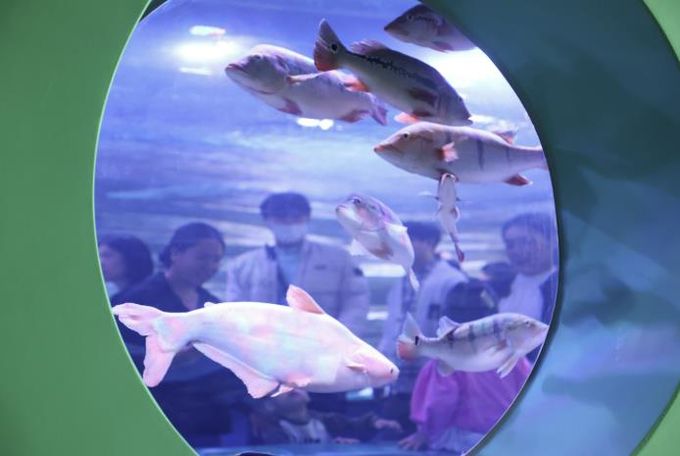 충주아쿠아리움, 개장 4개월 만에 누적 관람객 20만 명 돌파