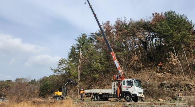 재선충 방제 작업