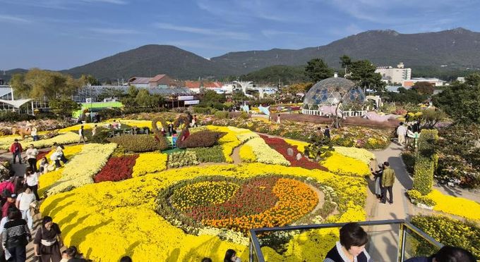 ‘거제섬꽃축제’ 2026년 경상남도 지정 문화관광축제 선정