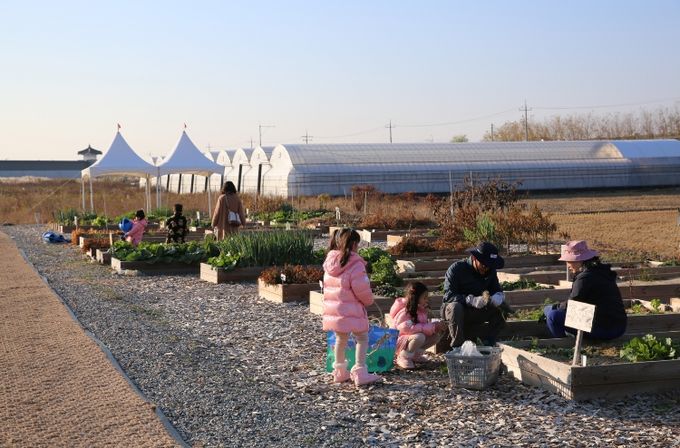 2026년도 도시농업 체험농장 도란도란 회원모집