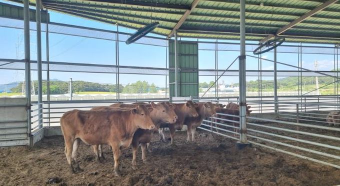 정읍시, 2027년 가축분뇨 처리 지원사업 수요조사…20일까지 접수