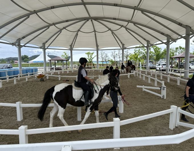 익산시, 야간 승마강습 운영