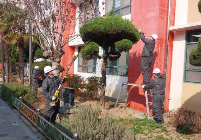 시설관리 지원 사업(수목 전정)