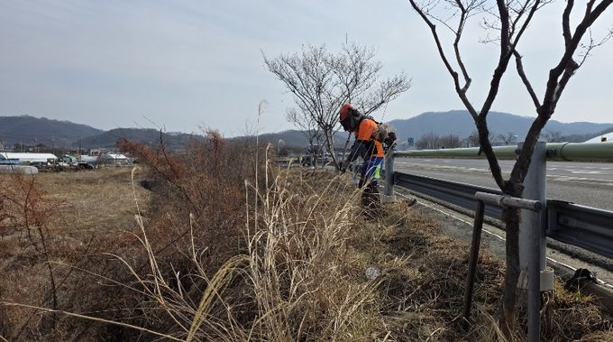 성주군, 봄맞이 국도 30호선 가로변 환경 정비를 통한「우리동네 새단장」추진