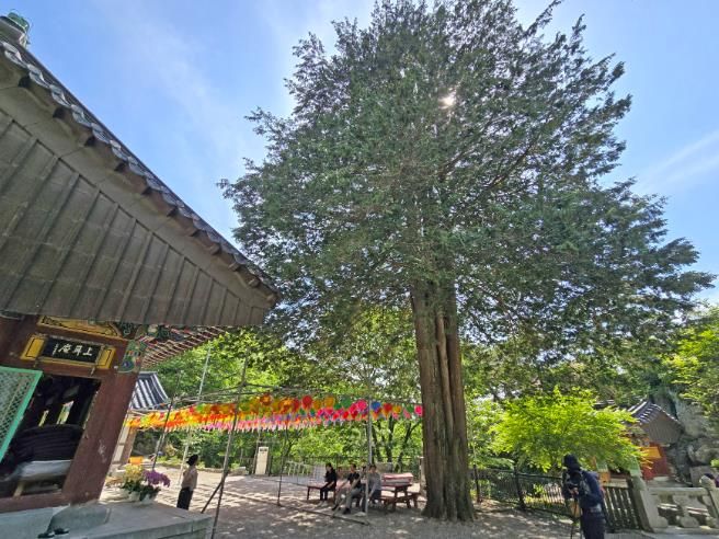 임실 성수산, 산림 레포츠·숲 해설 프로그램 본격운영6(성수산 상이암)