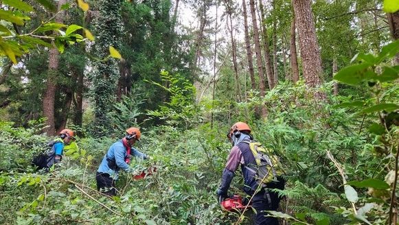 방치된 산도 신청만 하면 체계적으로 관리