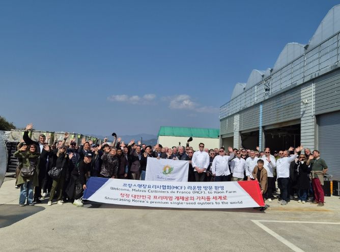 프랑스명장요리사협회(MCF) 셰프 180명, 거제 개체굴 생산 현장 방문