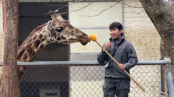 동물과사는남자_기린