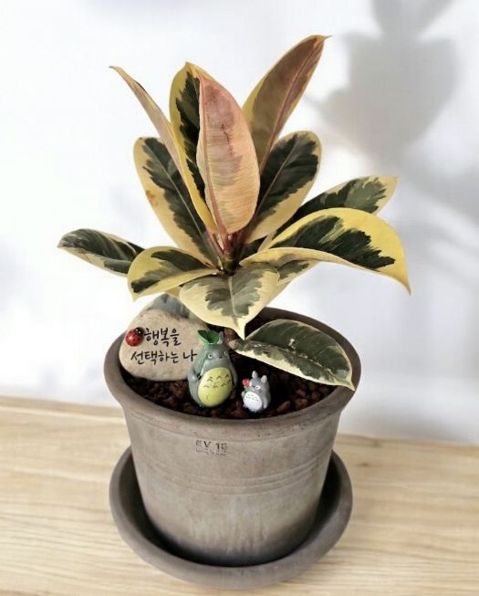 현재 성찰그룹의 완성품