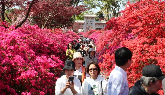 올 봄 강진반값여행으로 즐기는 이색 데이트 코스