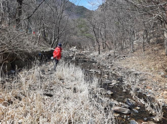 관계자가 산림 내 불법행위 단속하는 모습