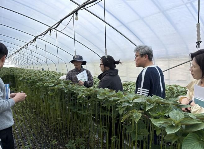 진안군, 수경재배 잎들깨 고품질 생산 현장컨설팅 추진