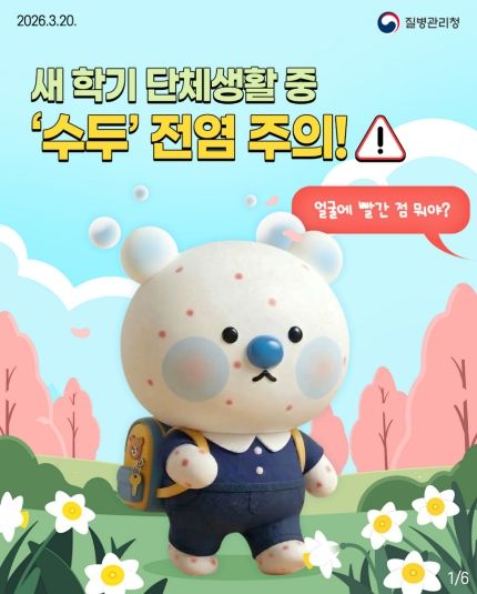 질병청 수두 카드뉴스