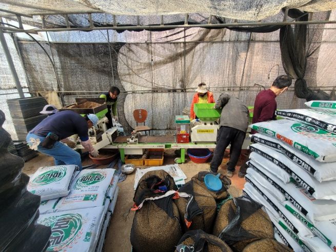 1. 지난해 천안시 병천면 수도작 농가 파종 작업 모습