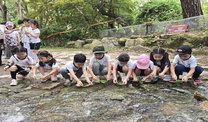 금천구가 2025년 진행한 숲해설 프로그램