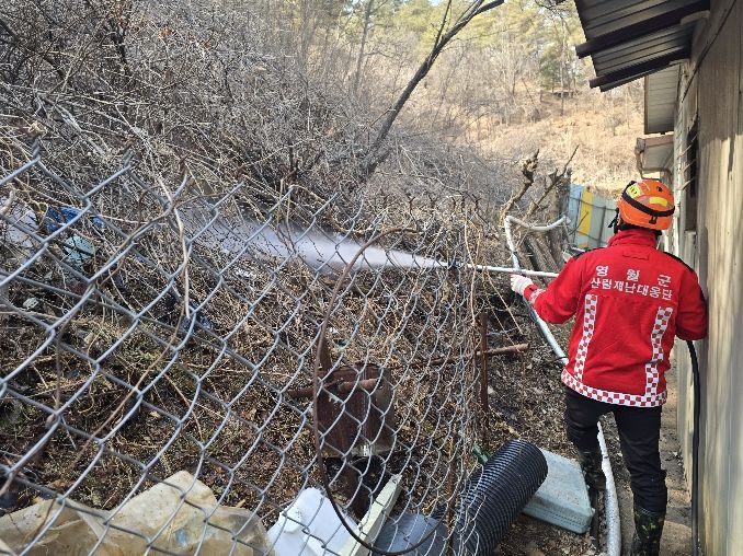 청명·한식 기간 산불방지 총력 대응