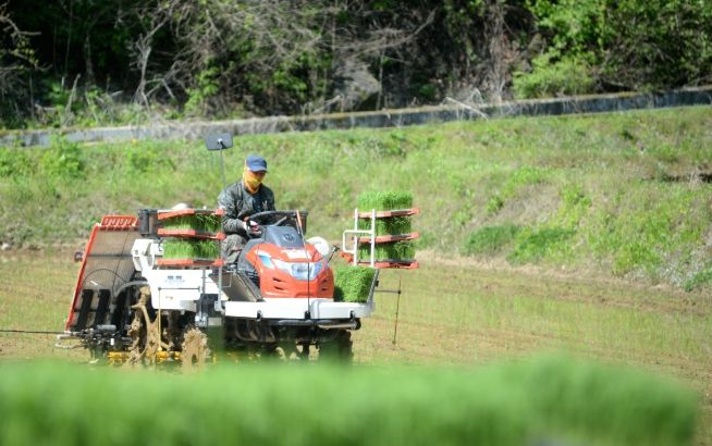 화천군이 지역 농가를 대상으로 농기계 수리 후 발생하는 폐유 수거 사업을 실시한다. 사진은 화천지역에서 이앙기 농기계로 모내기를 하고 있는 모습