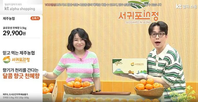 천혜향 홈쇼핑 방송