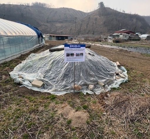 임실군 옥정호 녹조발생 예방 야적 퇴비 조사 추진