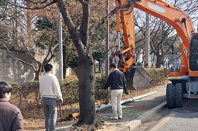 서구, 인도 위 전주·통신주 정비 나선다