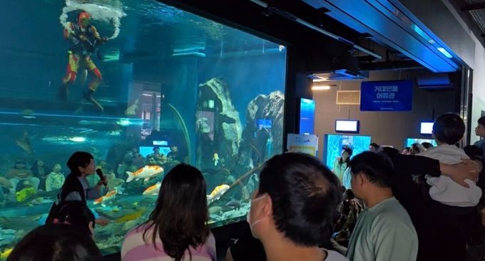 충북아쿠아리움이 쓴 ‘교감의 서사시’ 화제(수중공연)