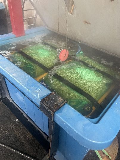 임실군, 고품질 쌀 생산의 첫걸음, 철저한 종자소독부터