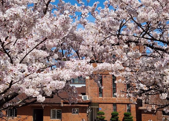 비룡못 어울림마당