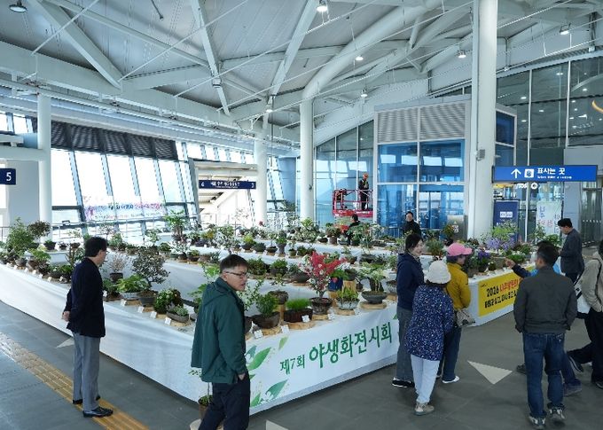 나주시와 나주시 야생화연구회가 지난 10일부터 12일까지 나주역에서 ‘제7회 야생화 전시회’를 진행했다.