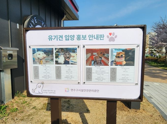 유기견 팻말