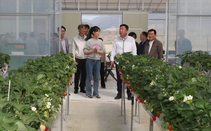 이범석 청주시장, 청년 창업농 딸기재배 현장 방문